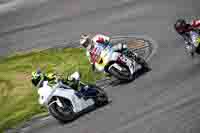 Middle Group White Bikes
